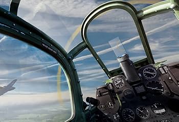 Amazon.co.jp: War Thunder スペシャルエディション : ゲーム